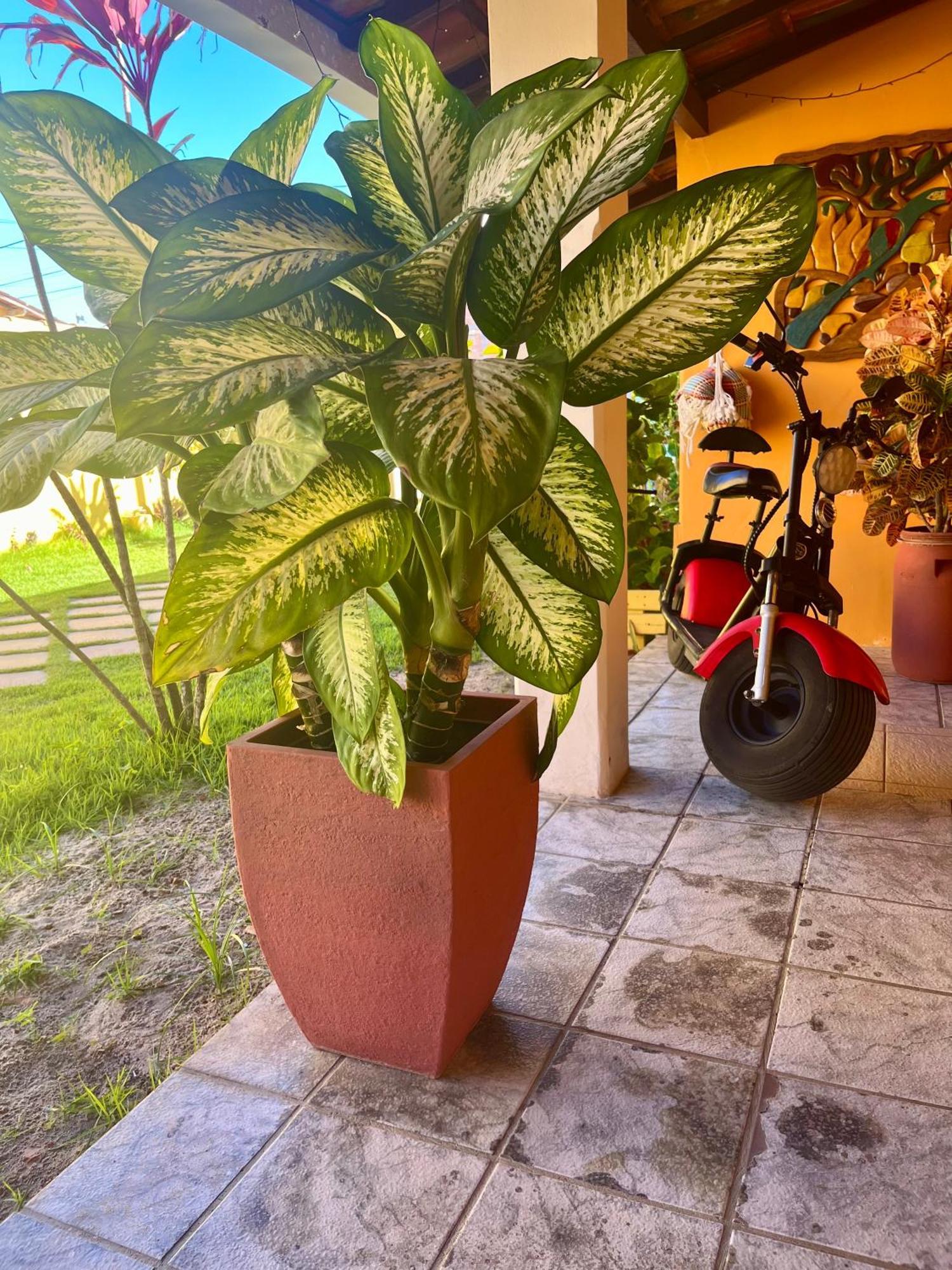 Pousada Paradise Alcobaça Екстериор снимка